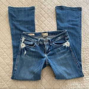 William Rast Belle Flare Jeans